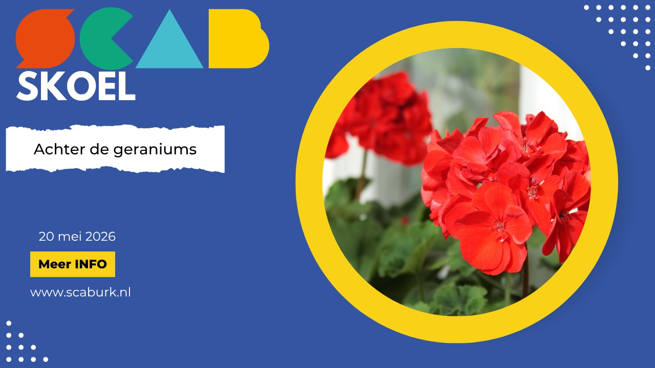 SCAB Skoel – Achter de geraniums